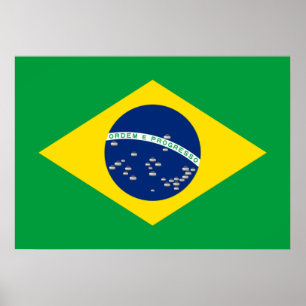 National Flag of Brazil with Curling Rocks Poster