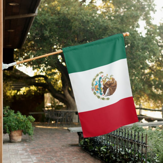 National flag of Mexico (In SItu)