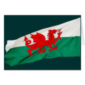 National Flag of Wales, The Red Dragon Patriotic (Front Horizontal)