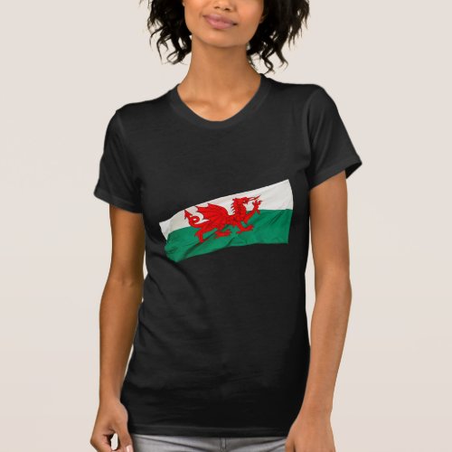 National Flag of Wales The Red Dragon Patriotic T_Shirt