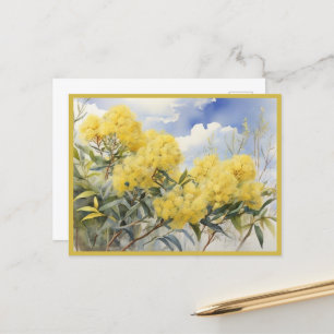 National Flower Australia Golden Wattle Postcard