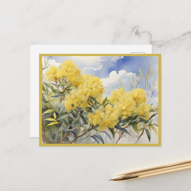 National Flower Australia Golden Wattle | Postcard (Front/Back In Situ)