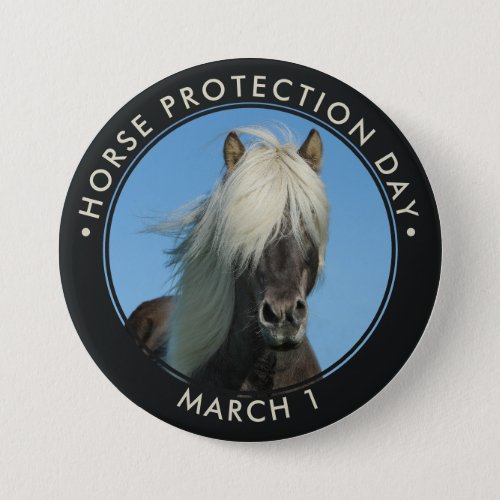 National Horse Protection Day Button