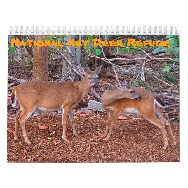 National Key Deer Refuge Calendar (Cover)