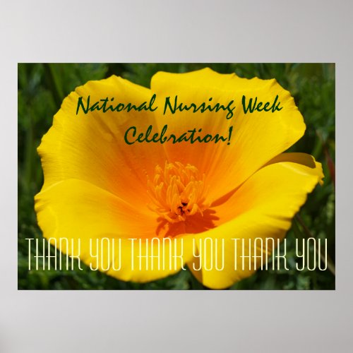 National Nursing Week Celebration poster thank you