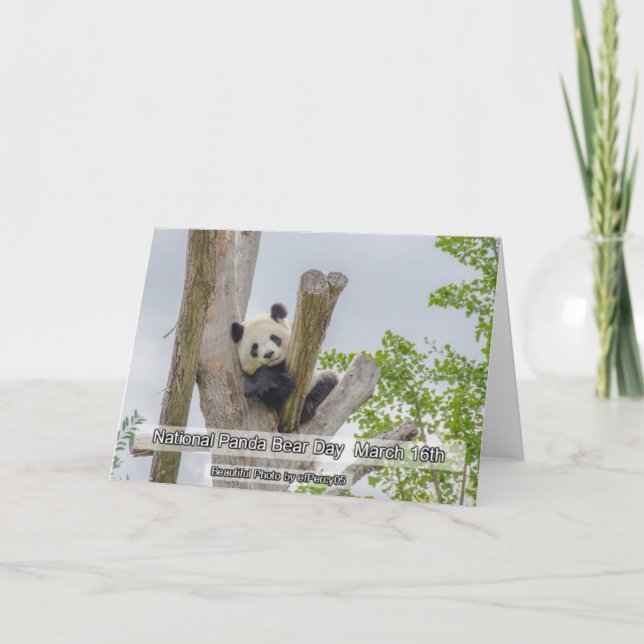 National Panda Day March 16th Animal Holidays Card (Front)