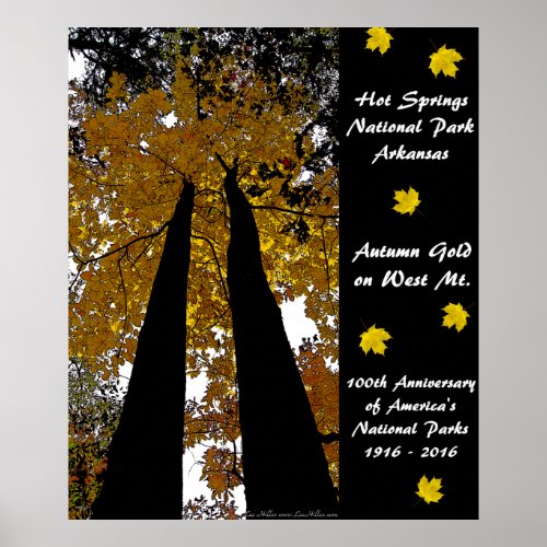 National Park Anniversary Hot Springs Autumn Gold Poster