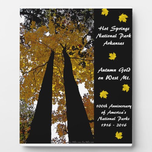 National Park Centennial Hot Springs Autumn Gold Plaque