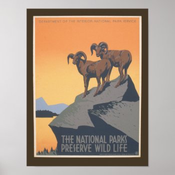 National Park - Preserve Wildlife - Vintage Poster by NationalParkShop at Zazzle