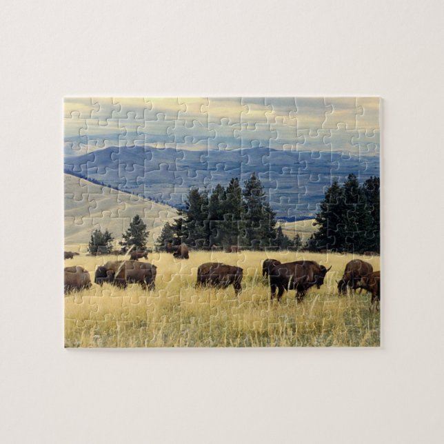 National Parks Bison Herd Jigsaw Puzzle (Horizontal)