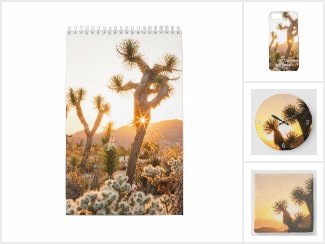 National Parks of the USA