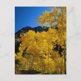 National Parks Postcard