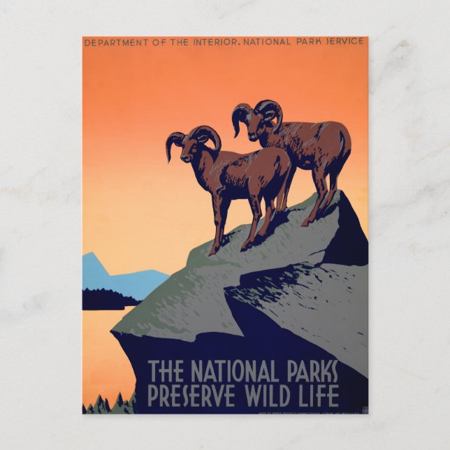 National Parks Postcard (Front)