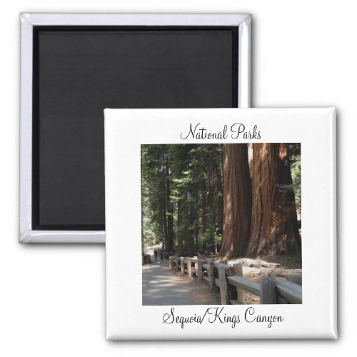 National Parks _ SequoiaKings Canyon Magnet