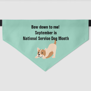National Service Dog Month Play Bow  Pet Bandana Collar