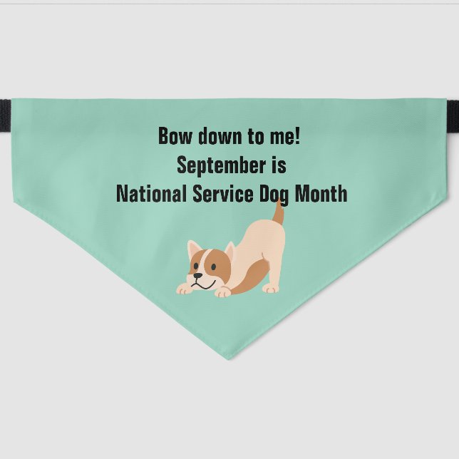 National Service Dog Month Play Bow  Pet Bandana Collar (Front)
