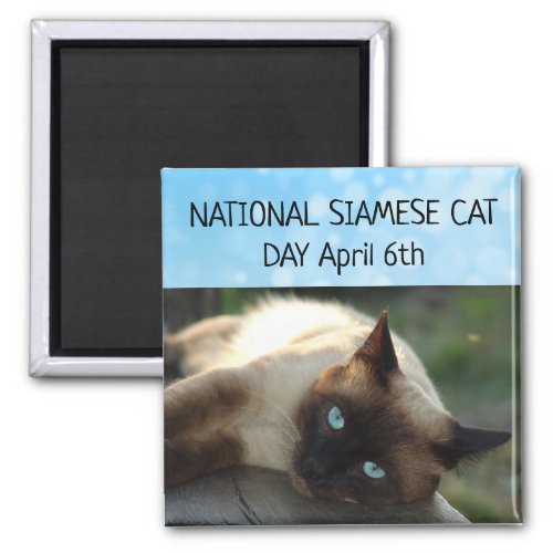 National Siamese Cat Day April 6th Magnet