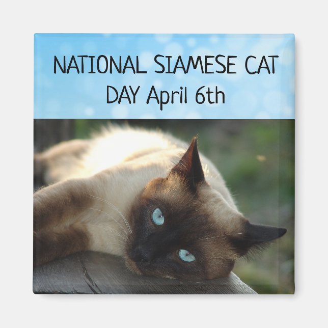 National Siamese Cat Day April 6th Magnet (Front)