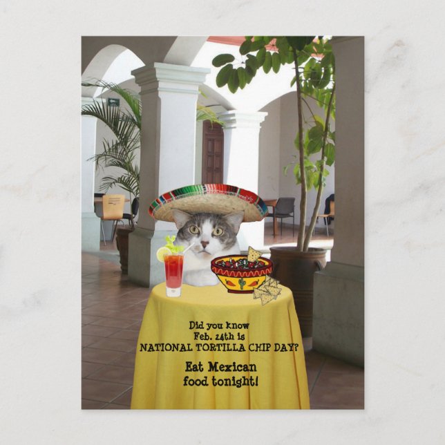 National Tortilla Chip Day Funny Cat Postcard (Front)