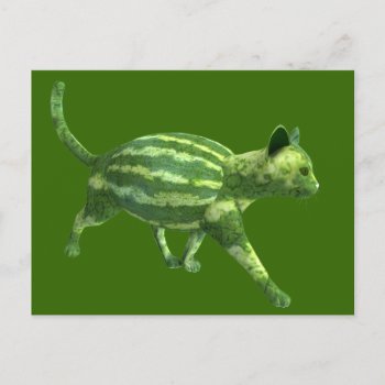 National Watermelon Day Cat Postcard by Emangl3D at Zazzle