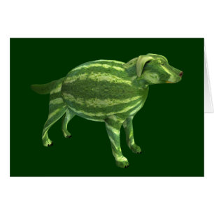 National Watermelon Day Dog Cards