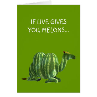 National Watermelon Day Dromedary