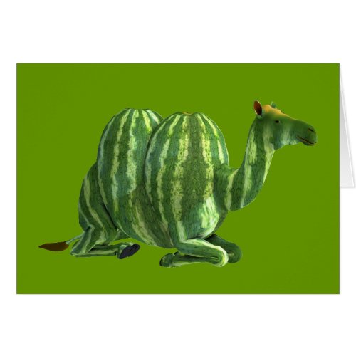 National Watermelon Day Dromedary