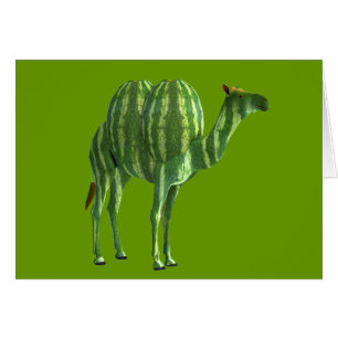 National Watermelon Day Dromedary Cards