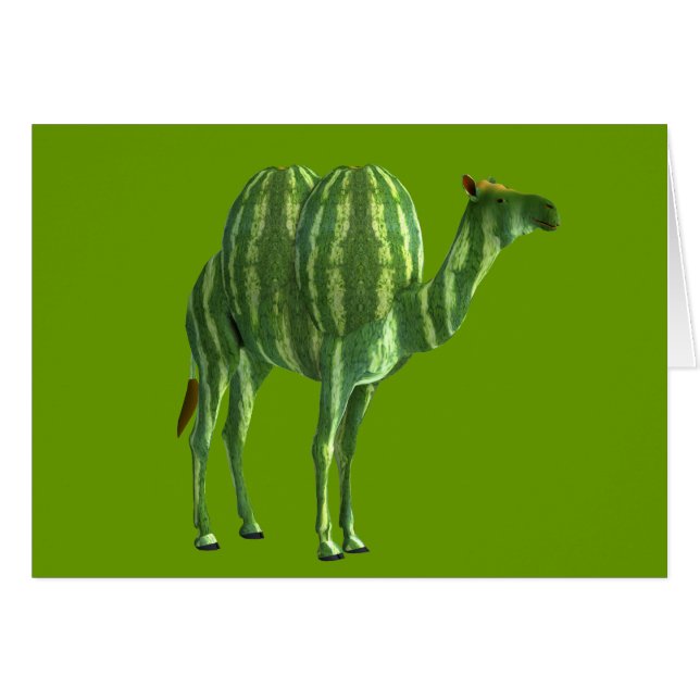 National Watermelon Day Dromedary Cards (Front Horizontal)