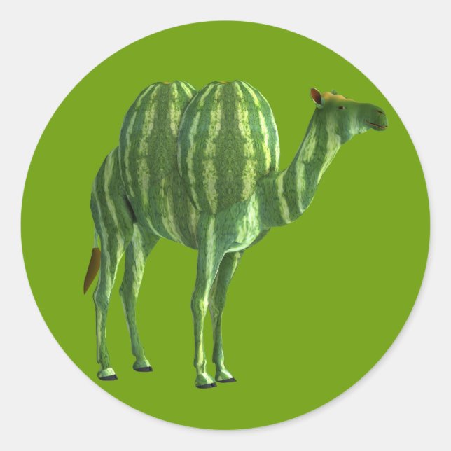 National Watermelon Day Dromedary Classic Round Sticker (Front)