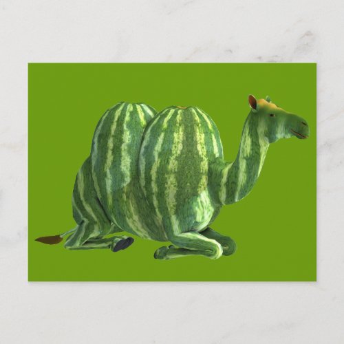 National Watermelon Day Dromedary Postcard