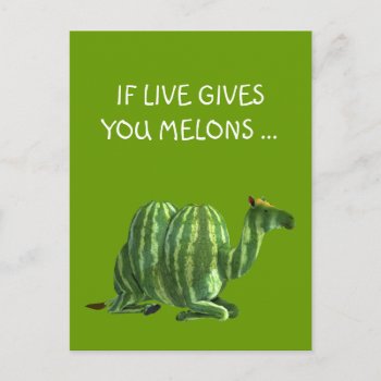 National Watermelon Day Dromedary Postcard by Emangl3D at Zazzle