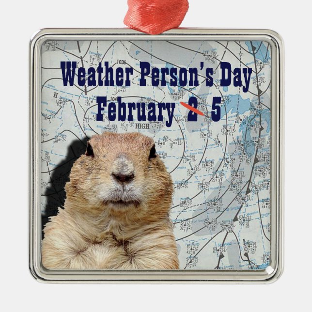 National Weather Person’s Day February 5 Metal Ornament (Front)