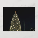 National Xmas Tree & Washington Monument at Night Holiday Postcard