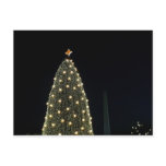 National Xmas Tree & Washington Monument at Night Holiday Postcard