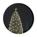 National Xmas Tree & Washington Monument at Night Magnet