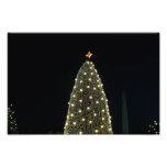 National Xmas Tree & Washington Monument at Night Photo Print