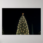National Xmas Tree & Washington Monument at Night Poster