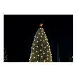 National Xmas Tree & Washington Monument at Night Poster