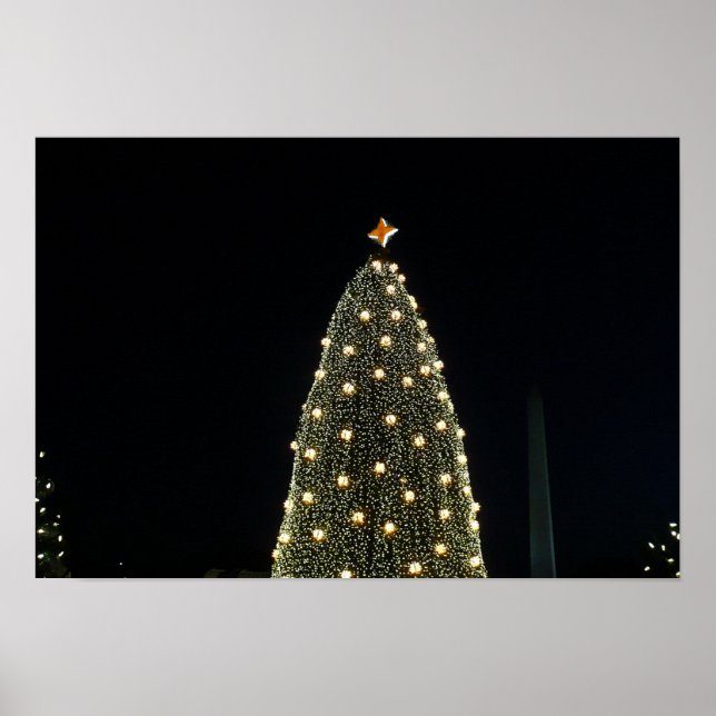 National Xmas Tree & Washington Monument at Night Poster (Front)