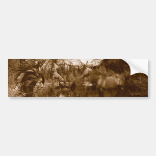 native american bumper sticker
