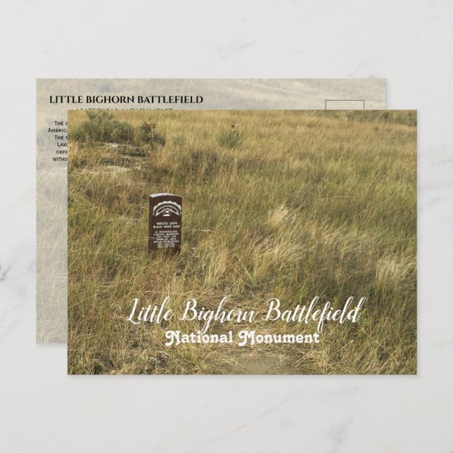 Native American Burial Ground, Little Bighorn  Postcard (Front/Back)