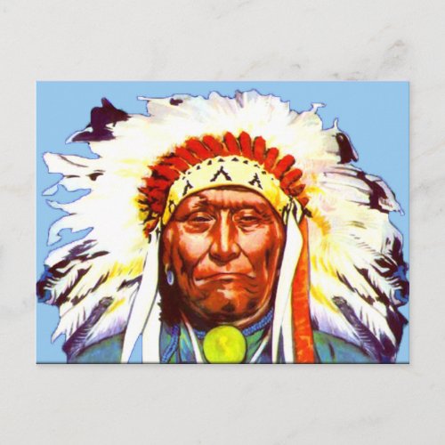 Native American Chief Postcard