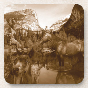 native american coaster