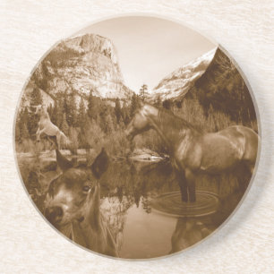 native american drink coaster