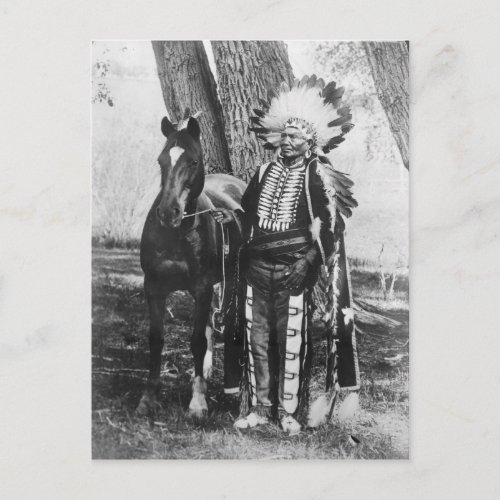 Native American Indian Postcard