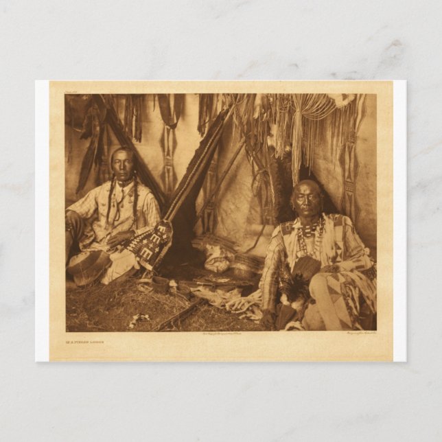 Native American Indian Vintage Portrait Postcard (Front)