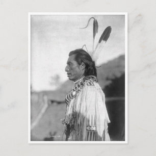 Native American Indian Vintage Portrait Postcard