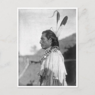 Native American Indian Vintage Portrait Postcard