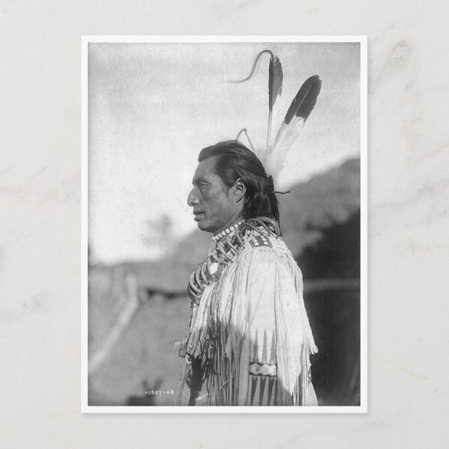 Native American Indian Vintage Portrait Postcard (Front)